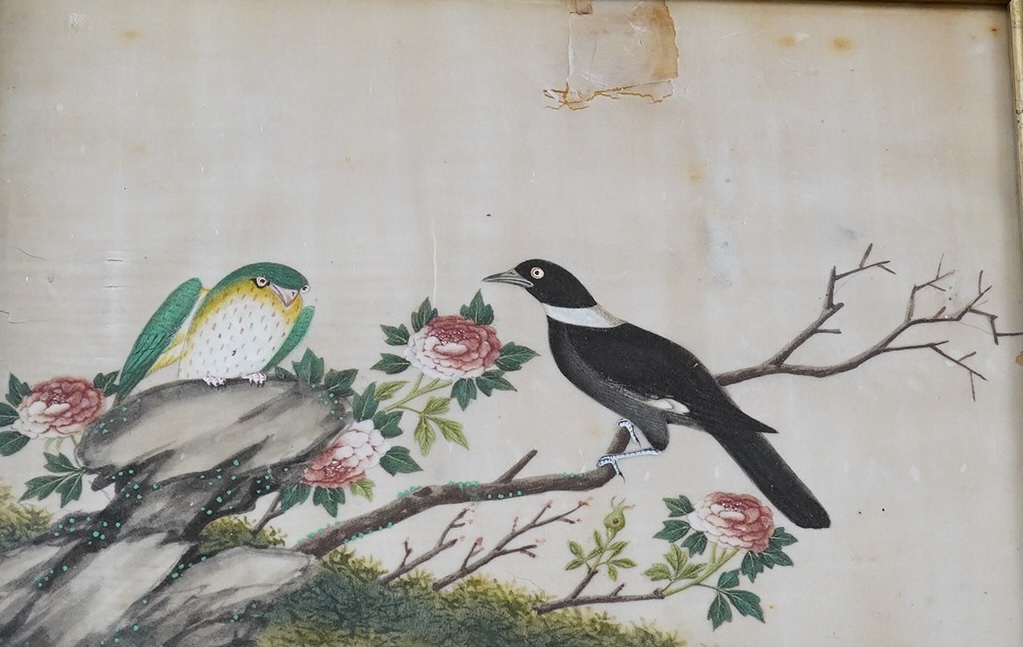 19th century, Cantonese School, pair of pith paper paintings, Birds of Paradise amongst Peonies, 17.5 x 27cm. Condition - poor